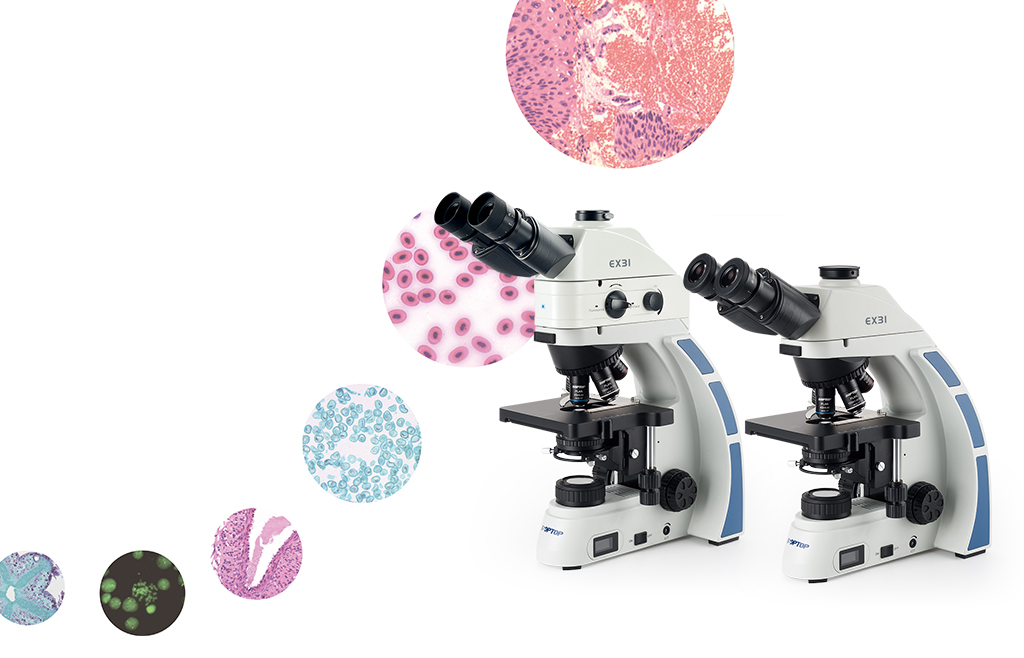 SOPTOP EX31系列生物顯微鏡