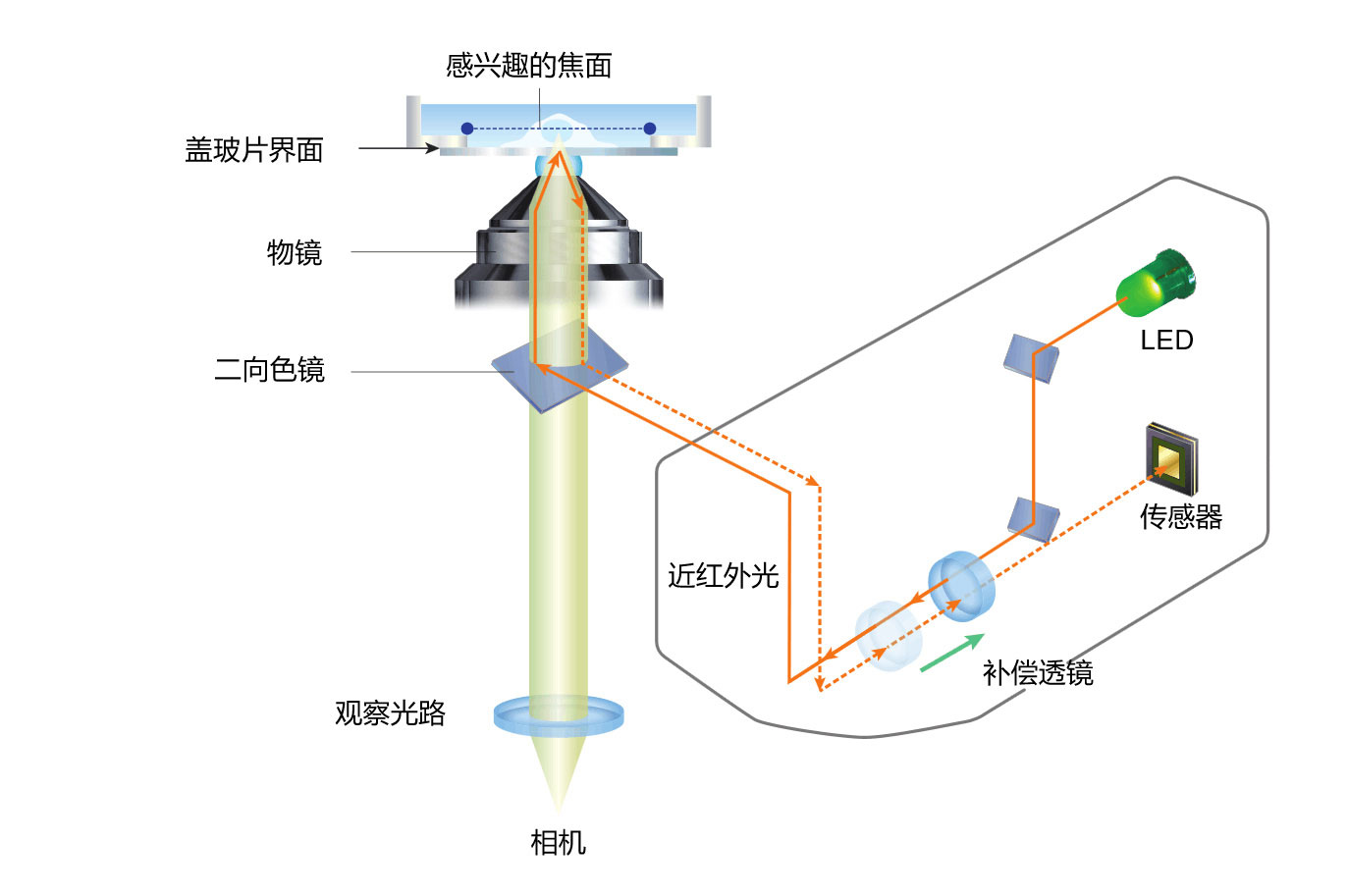 ECLIPSE Ti2尼康倒置生物顯微鏡-上海思長約光學經(jīng)銷