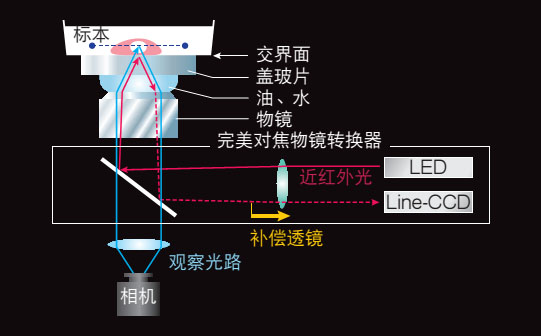 Ti-S-Ti-E,Ti-U尼康三目倒置生物顯微鏡-上海思長約光學經(jīng)銷