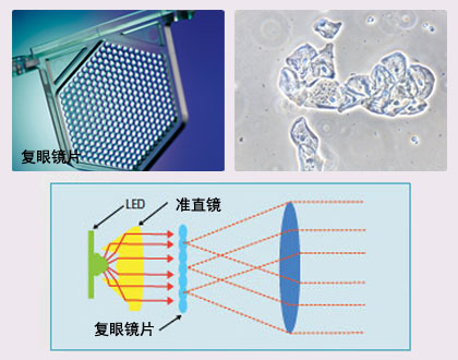 TS100-TS100-F尼康倒置顯微鏡-上海思長(zhǎng)約光學(xué)經(jīng)銷