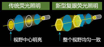 SMZ18明亮與高對(duì)比度的熒光圖像